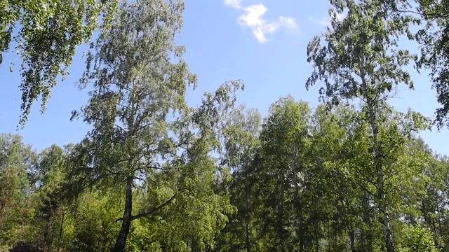 Ты прости,что ушёл смотреть онлайн