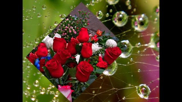 Я ДАРЮ ТЕБЕ ЦВЕТЫ pskp смотреть онлайн