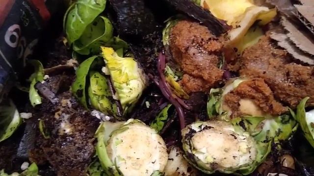 Setting up my first Worm Composter смотреть онлайн