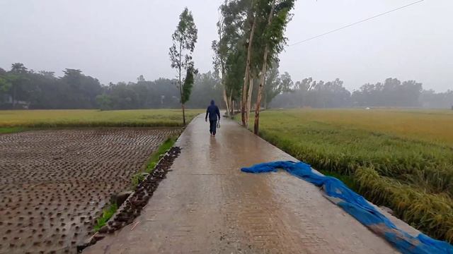 [4K-UHD] Walking In The Rain With Umbrella | ASMR Rain Sounds For Instant Sleeping | Rainy Video смотреть онлайн
