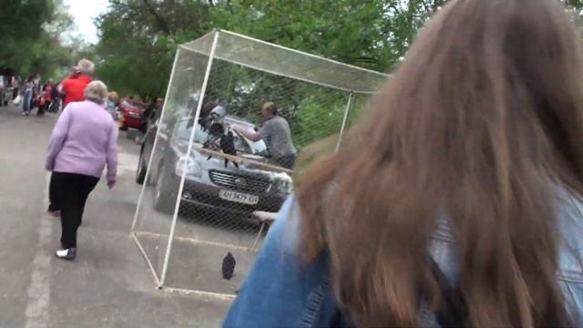 Лучший ролик ярмарки птиц в Северодонецке, как по сне ............