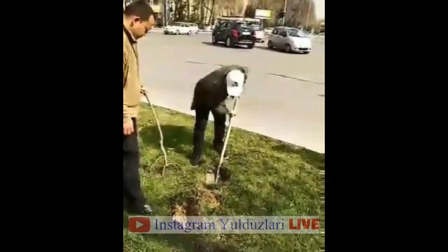 DIZAYN 2019 Dilshod Musabekov JONLI IJRO 2019