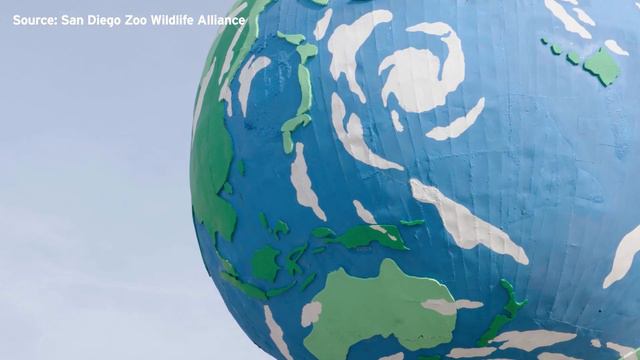 San Diego Zoo taking part in Rose Parade смотреть онлайн