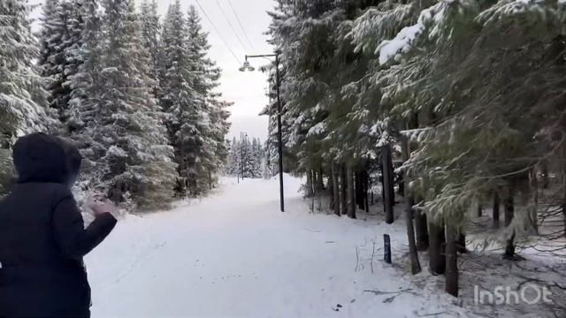Парк Сахалинский лес, Нарьян-Мар смотреть онлайн
