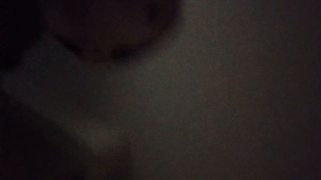 1000024698.mp4 смотреть онлайн