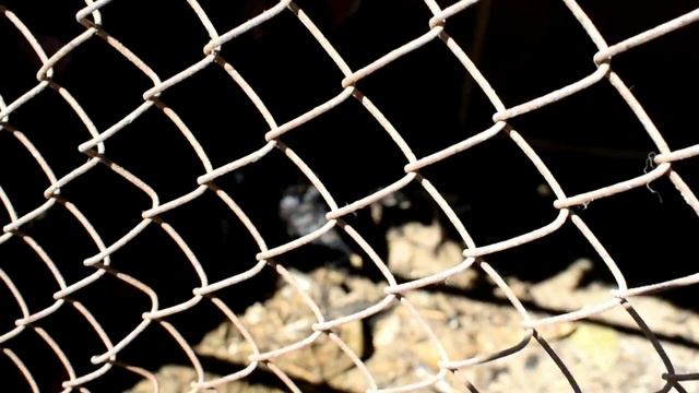 ПРИЕХАЛИ В АУЛ # ЗАШЛИ В ГОСТИ К РОДИТЕЛЯМ АЙПАРШЫ # смотреть онлайн