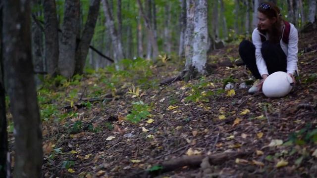 Храм Камбоджа, яйца динозавров?!! смотреть онлайн
