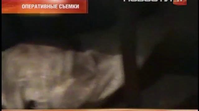 Мать, заморозившая младенцев, задержана смотреть онлайн