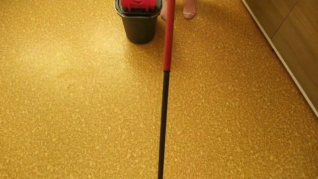 Обзор швабры и ведра Vileda Ultramax