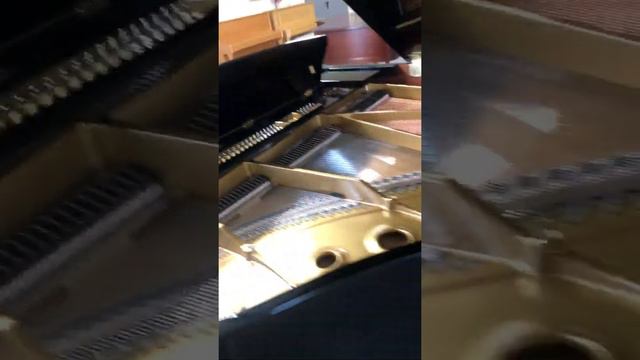 Eva Smirnova Kawai GL 50 www.piano.de смотреть онлайн