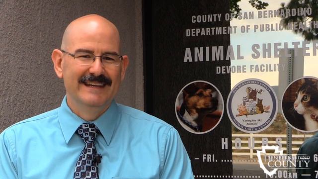 Western University of Health Sciences assists animals in neglect case смотреть онлайн