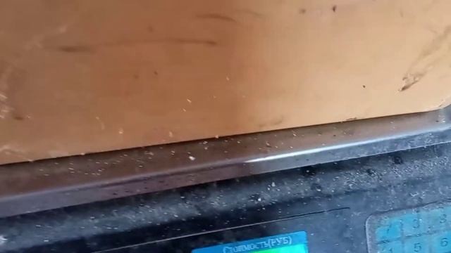 Забой бройлеров, в 45 дней. Вес до и после забоя. смотреть онлайн