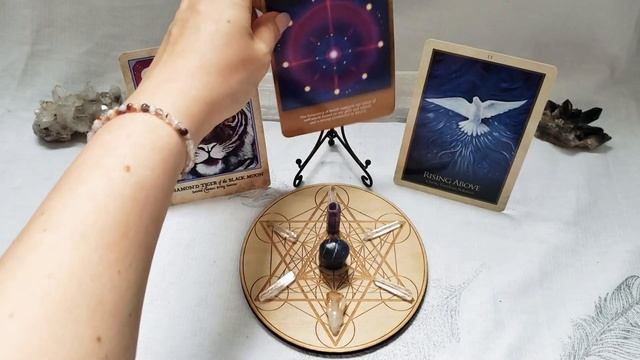 COLOR CODE: IOLITE BELIEF ORACLE GUIDANCE READING ASMR смотреть онлайн