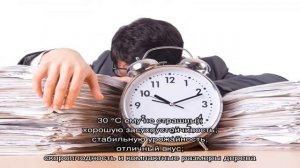 Зимостойкая и сладкая груша Белорусская поздняя — описание, фото, отзывы