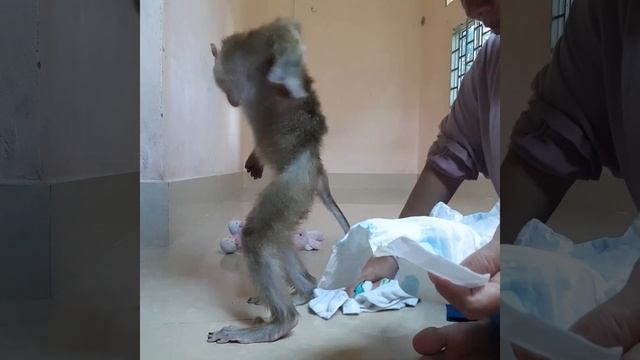 Adorable Little Baboo Waiting Mom Change Diaper For Him After Bath