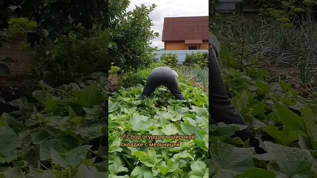 топ 3 упражнений на продольный шпагат в полевых условиях. внимание! новая поза! смотреть онлайн