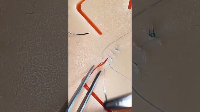 Как накладывать швы? Шовный тренажёрный хирургический набор хирургические швы хирургический шов