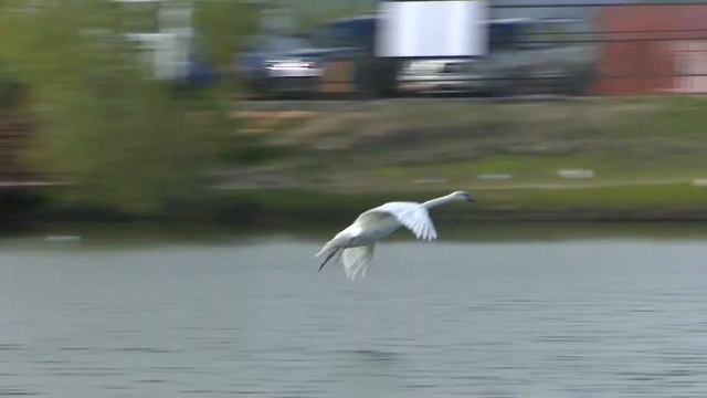 ОБДОРСК САЛЕХАРД 426 смотреть онлайн