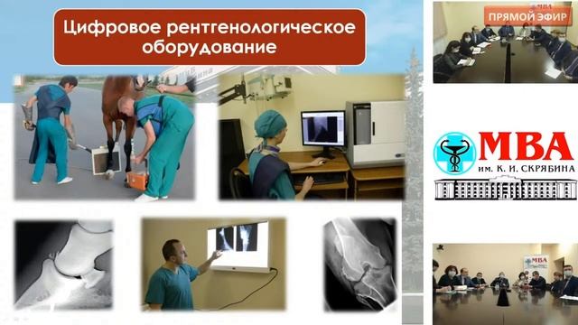 ? День открытых дверей ФГБОУ ВО МГАВМиБ - МВА имени К.И. Скрябина 28 ноября 2020: прямая трансляция смотреть онлайн