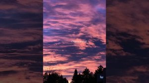 ❤Сёстры Марцикевич и Дима - любовь ромалэ❤🔥💣шикарная песня💣🔥