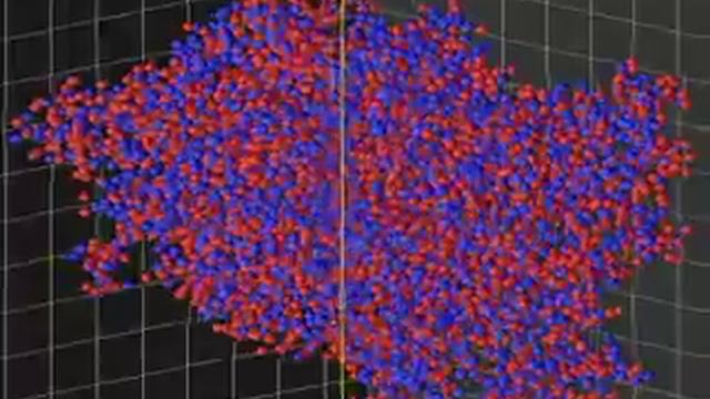 Blob Structures over amorphous Computers (short version) смотреть онлайн