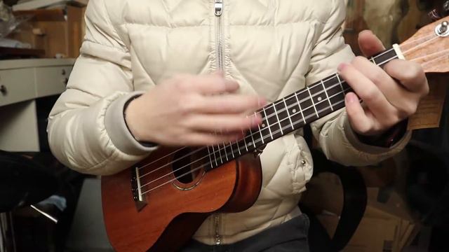 nemo Ab100C laminated mahogany concert ukulele смотреть онлайн