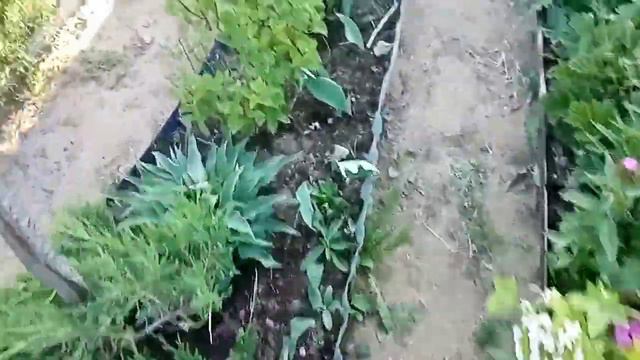 видео архив на 17 июня 2023 года смотреть онлайн