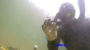 Коп.Подводный коп.Находки под водой.Золото