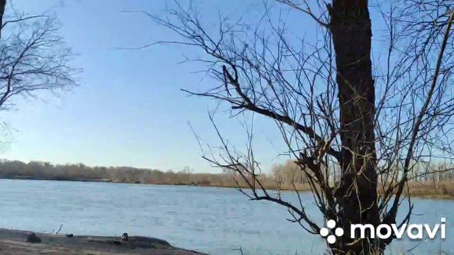 2023 04 РК Леса Луга !! 10 !! Павлодарская область !! смотреть онлайн