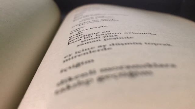 Aysel Git Başımdan / Atilla İlhan смотреть онлайн