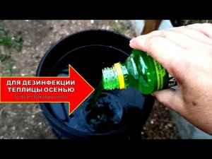 ГОТОВИМ СМЕСЬ ДЛЯ ДЕЗИНФЕКЦИИ ТЕПЛИЦЫ ИЗ ПОЛИКОРБАНАТА ОСЕНЬЮ! ОСЕННЯЯ ОБРАБОТКА ТЕПЛИЦ