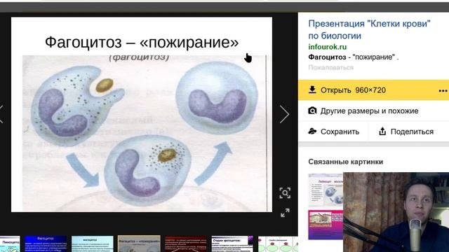 Эпидемия к нам приходит / Болезни и учёба / Как быстро заболеть смотреть онлайн