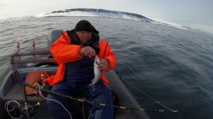 НА МОРСКОЙ РЫБАЛКЕ