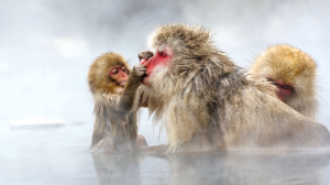 ✨Спокойной ночи, малыши!✨ Чистюля