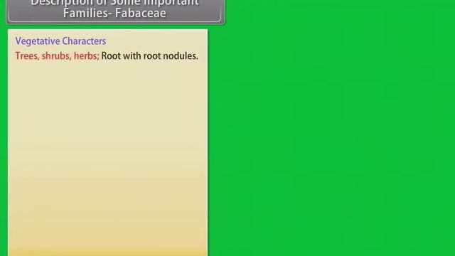 FRUITS- MORPHOLOGY OF FLOWERING PLANTS | CLASS-XIth | NEET | NCERT | ANIMATED BIOLOGY VIDEO #cbse