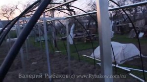 Огромная теплица своими руками за $125
