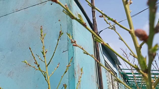 Мои эксперименты не знаю что получится? смотреть онлайн