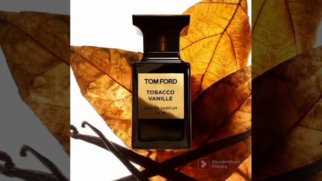 تقييم عطر توباكو فانيلا - توم فورد ??? Tobacco Vanille Tom Ford عطر برائحة التبغ للجنسين смотреть онлайн