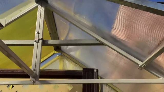 Утро на выставке теплиц