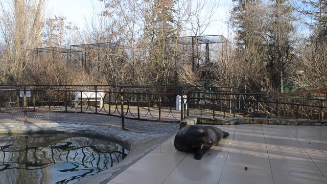 Привет от Маэстро-Плюха ! смотреть онлайн