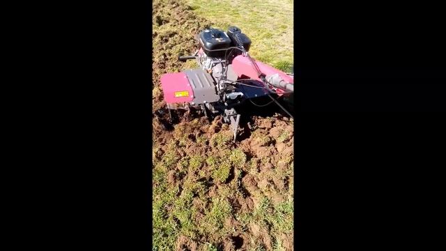 Jak prawidłowo użytkować glebogryzarkę z ciągnikiem WEIMA WM1100C-6 DIFF DELUXE смотреть онлайн