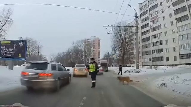 Добрый гаишник смотреть онлайн