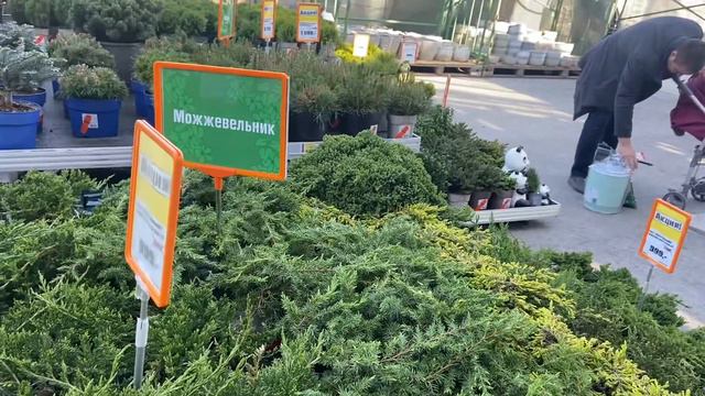 Vlog:💋Прогулка по ОБИ в поисках цветов. Новая фотосессия в проекте. смотреть онлайн