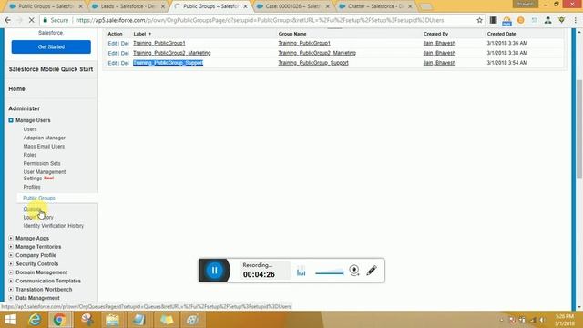 Salesforce Public groups and Queues смотреть онлайн