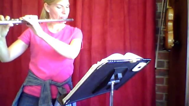 Celtic Flute The Spirits of De-Na-Zin by Jessica Walsh, Volume 2 смотреть онлайн