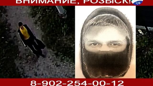 2020-06-25 Внимание, розыск! смотреть онлайн