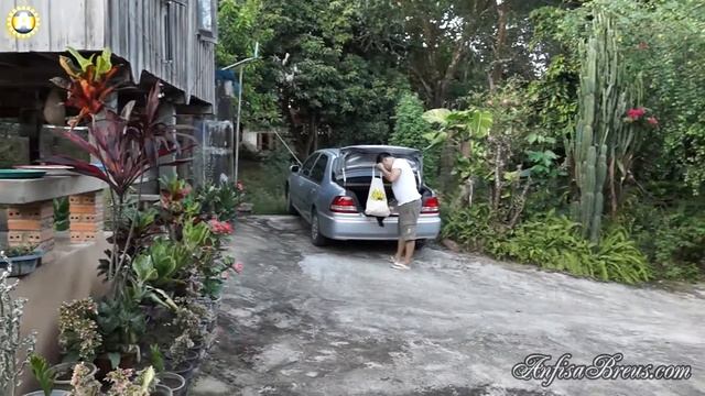 Поездка в тайскую деревню к Доту. Родительский дом и сад. 17 смотреть онлайн