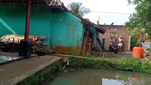 DIHAMILI PELIHARAANKU SENDIRI || FILM PENDEK KISAH KEHIDUPAN смотреть онлайн