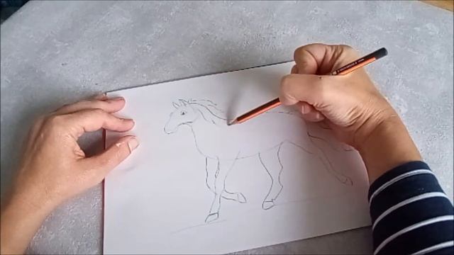 Как нарисовать лошадь коня. Рисунки животных для детей и начинающих смотреть онлайн